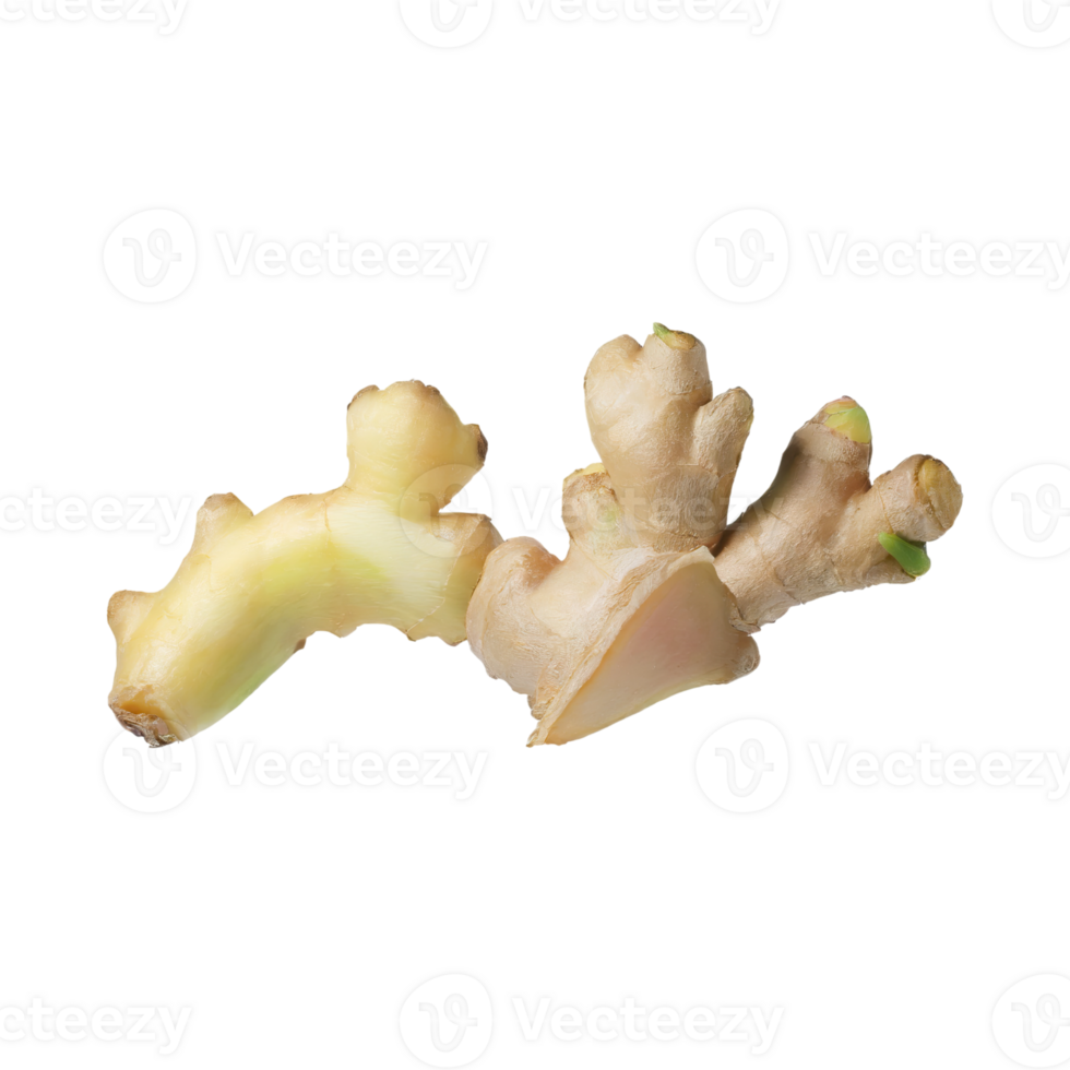 AI generated Floating Of White And Brown Ginger, Without Shadow,  Isolated Transparent Background png