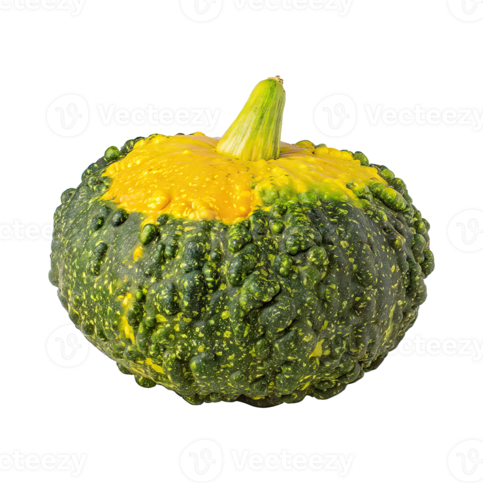 AI generated Green And Yellow Gourd With A Bumpy Surface, Without Shadow, Isolated Transparent Background png