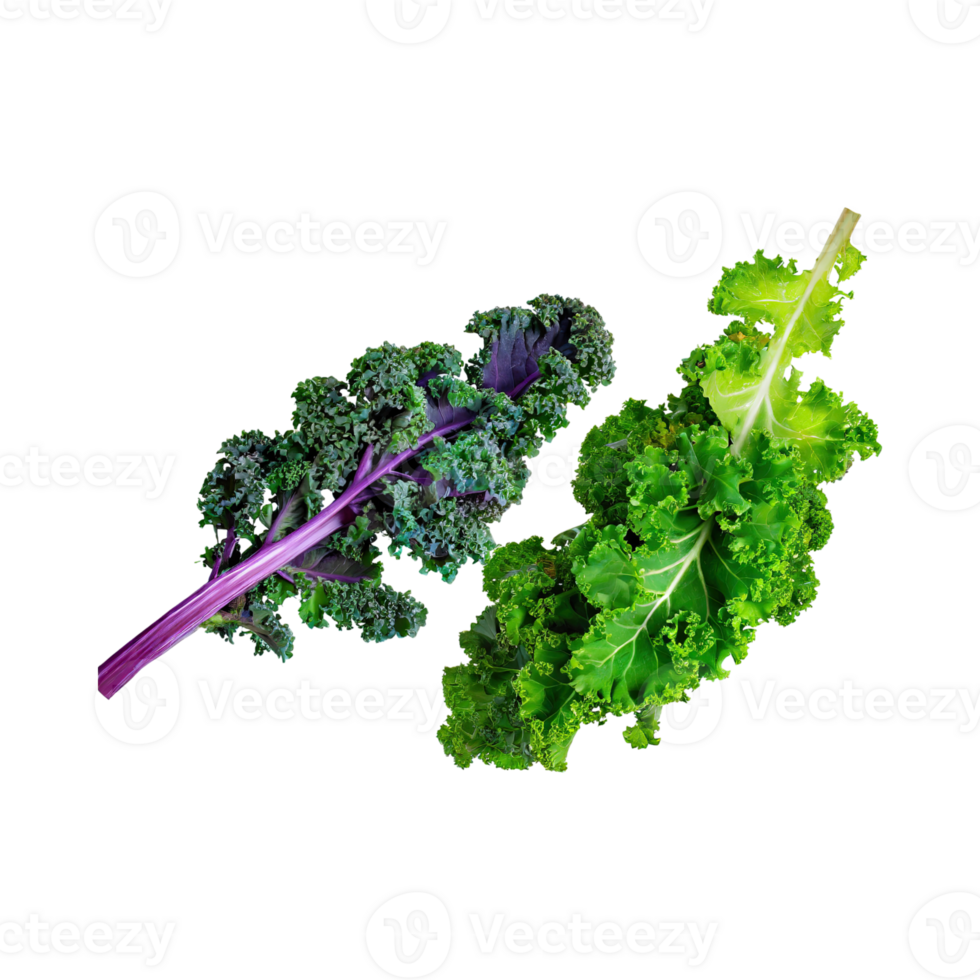 AI generated Floating Of Bunches Green Kale With Curly Edges, Isolated Transparent Background png