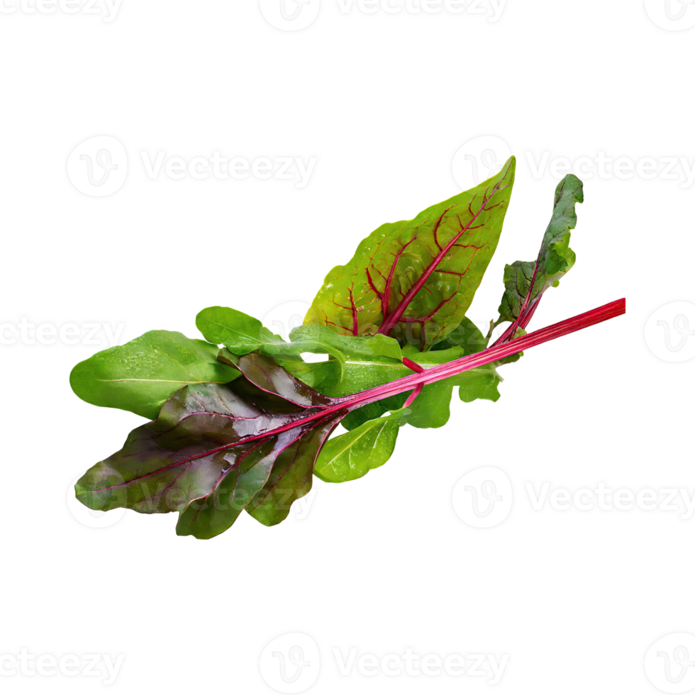 AI generated Floating Of Green And Red Sorrel With A Lemony Flavor, Isolated Transparent Background png