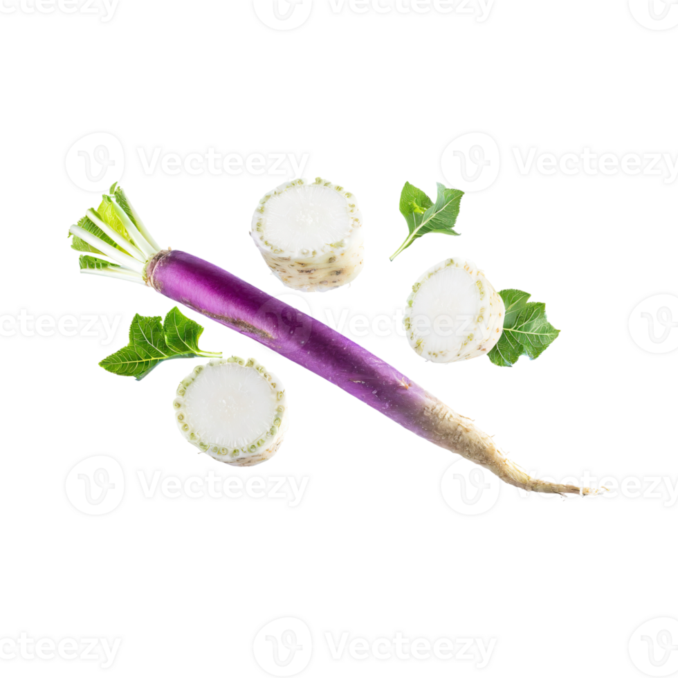 AI generated Floating Of Fresh White Blending To Purple Horseradish With A Pungent Smell With Sliced, Isolated Transparent Background png