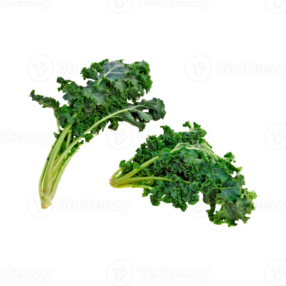 AI generated Floating Of Bunches Green Kale With Curly Edges, Isolated Transparent Background png