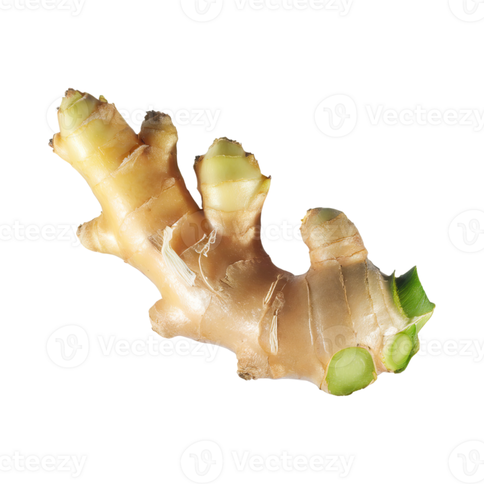 AI generated Floating Of White And Brown Ginger, Without Shadow,  Isolated Transparent Background png