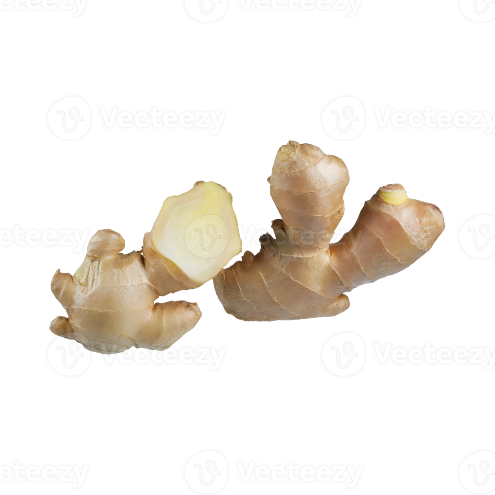 AI generated Floating Of White And Brown Ginger, Without Shadow, Isolated Transparent Background png