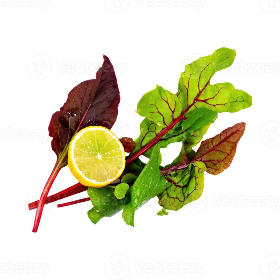 AI generated Floating Of Green And Red Sorrel With A Lemony Flavor, Isolated Transparent Background png
