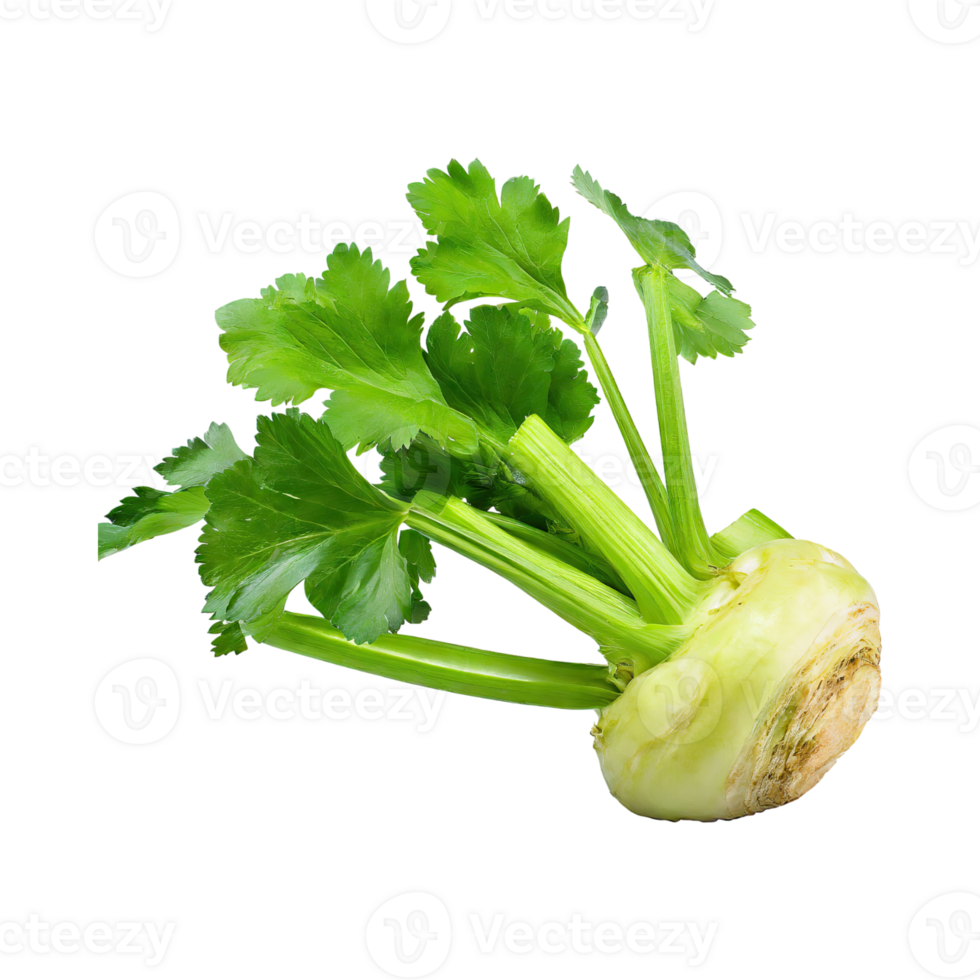 AI generated Floating Of Dirty Celeriac With Sliced, Without Shadow, Isolated Transparent Background png
