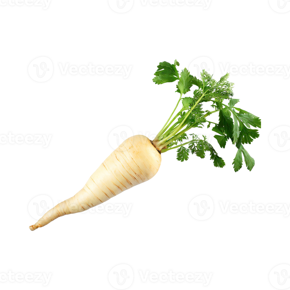AI generated Floating Of Parsnip, Without Shadow, Isolated Transparent Background png