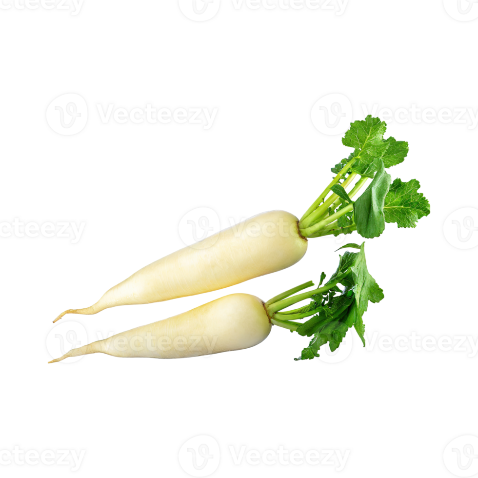 AI generated Floating Of White Daikon With A Mild Flavor, Without Shadow, Isolated Transparent Background png