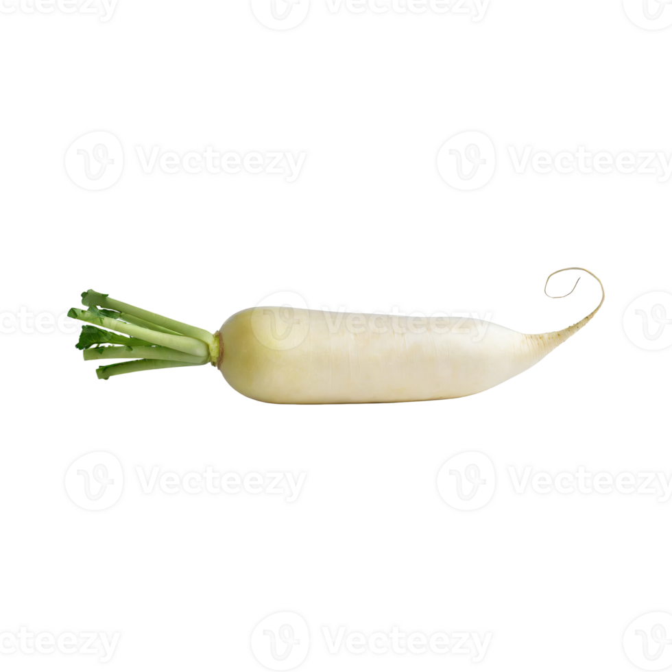 AI generated Floating Of White Daikon With A Mild Flavor, Without Shadow, Isolated Transparent Background png