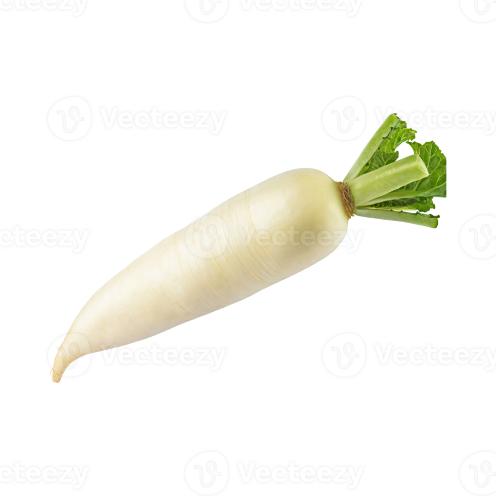 AI generated Floating Of White Daikon With A Mild Flavor, Without Shadow, Isolated Transparent Background png