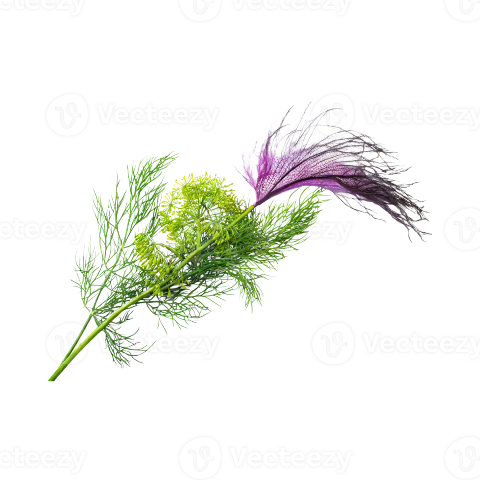 AI generated Floating Of Green And Purple Dill With A Feathery Texture, Isolated Transparent Background png