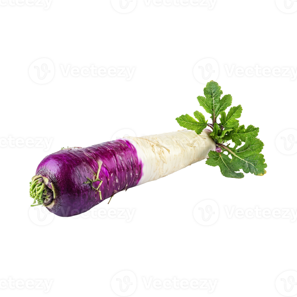 AI generated Small Of White And Purple Horseradish With A Pungent Smell, Isolated Transparent Background png