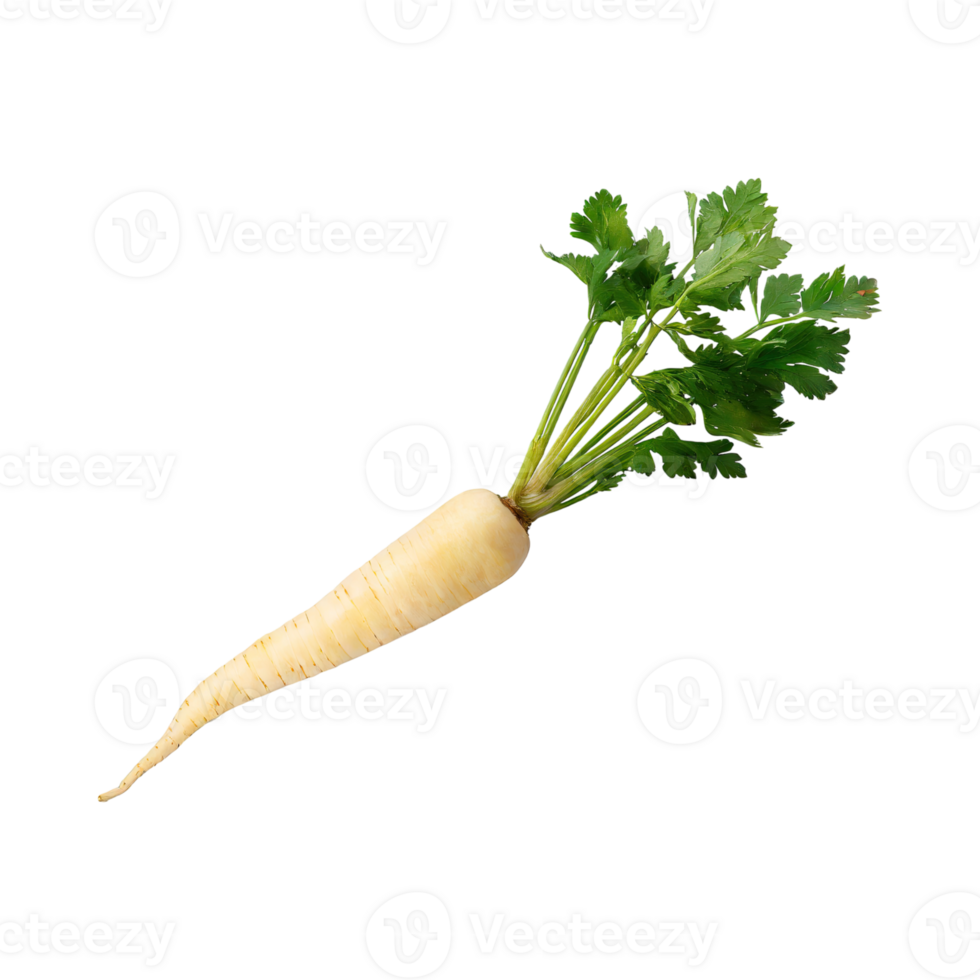 AI generated Floating Of Parsnip, Without Shadow, Isolated Transparent Background png