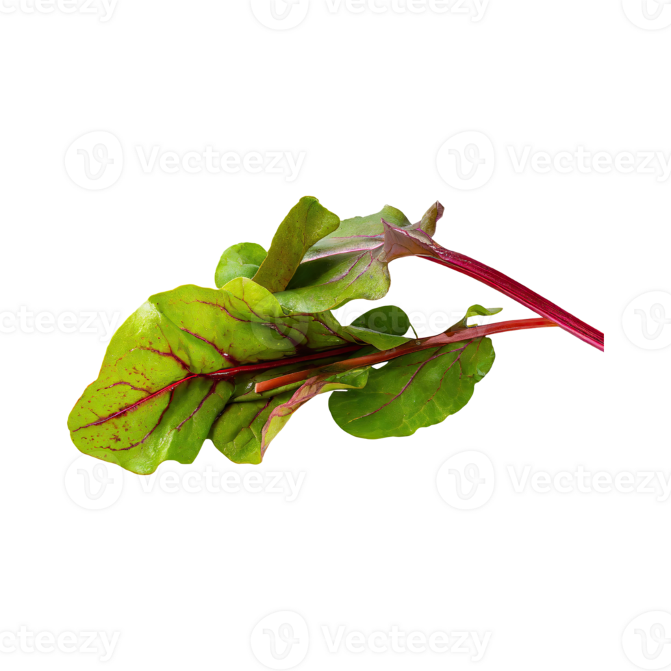 AI generated Floating Of Green And Red Sorrel With A Lemony Flavor, Isolated Transparent Background png