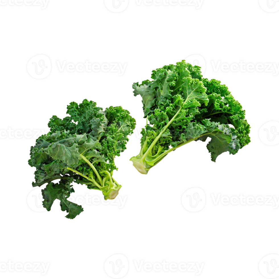 AI generated Floating Of Bunches Green Kale With Curly Edges, Isolated Transparent Background png