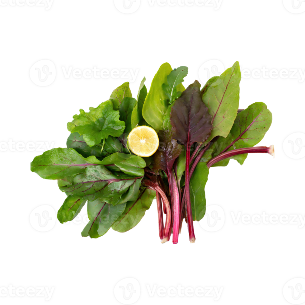 AI generated Floating Of Green And Red Sorrel With A Lemony Flavor, Isolated Transparent Background png