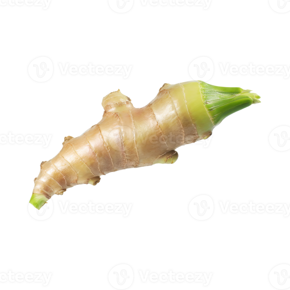AI generated Floating Of White And Brown Ginger, Without Shadow,  Isolated Transparent Background png