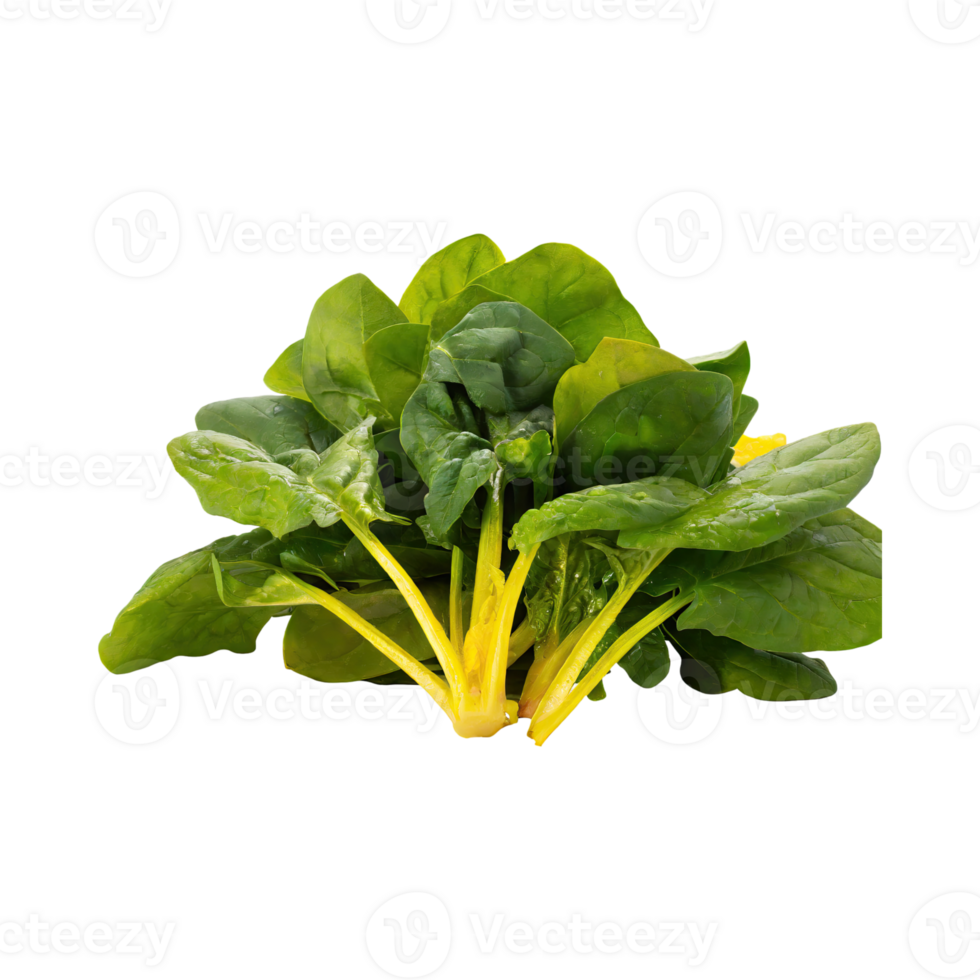 AI generated Green And Yellow Spinach With A Leafy Texture, Without Shadow, Isolated Transparent Background png