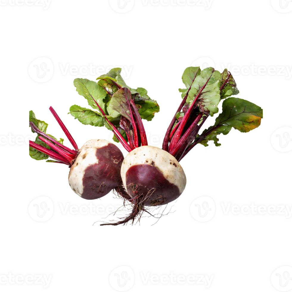 AI generated Floating Of Red And White Beetroot With A Earthy Taste With Sliced, Isolated Transparent Background png