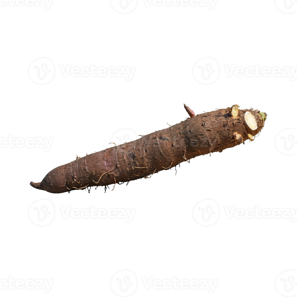 AI generated Floating Of Brown Cassava With Sliced Of Cassava,Earthy, Root ,Isolated Transparent Background png