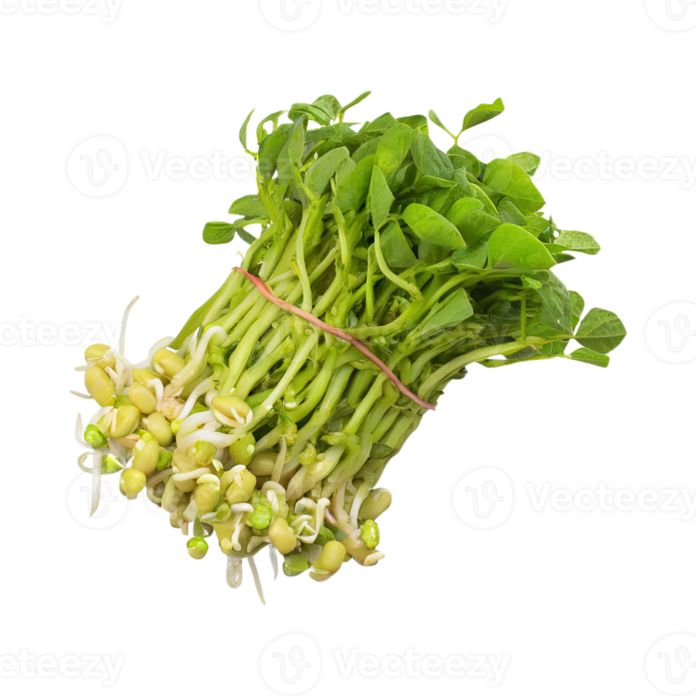 AI generated Floating Bunches Of Bean Sprouts, Without Shadow, Isolated Transparent Background png