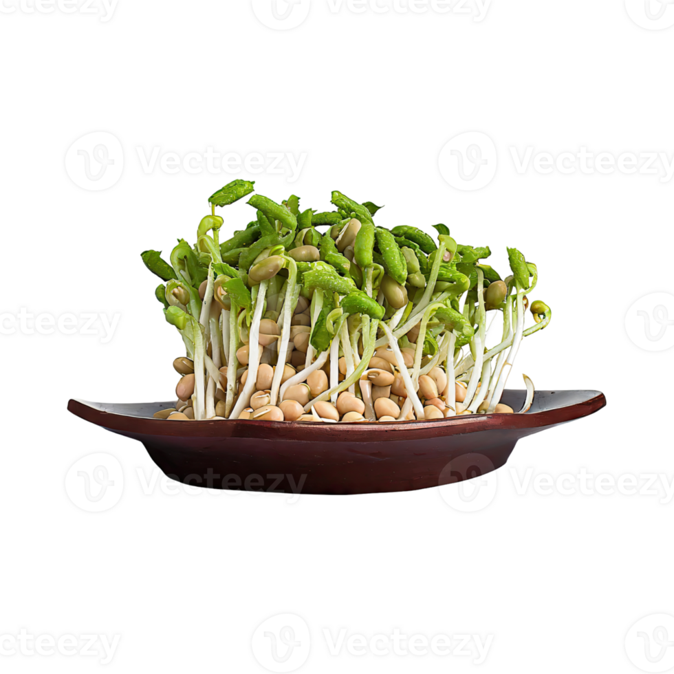 AI generated Floating Bunches Of Bean Sprouts, Without Shadow, Isolated Transparent Background png