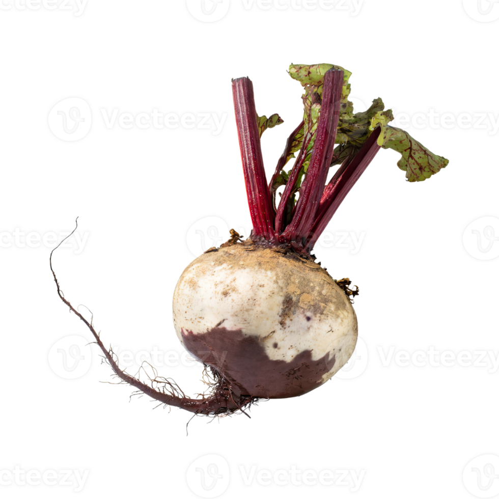 AI generated Floating Of Red And White Beetroot With A Earthy Taste With Sliced, Isolated Transparent Background png