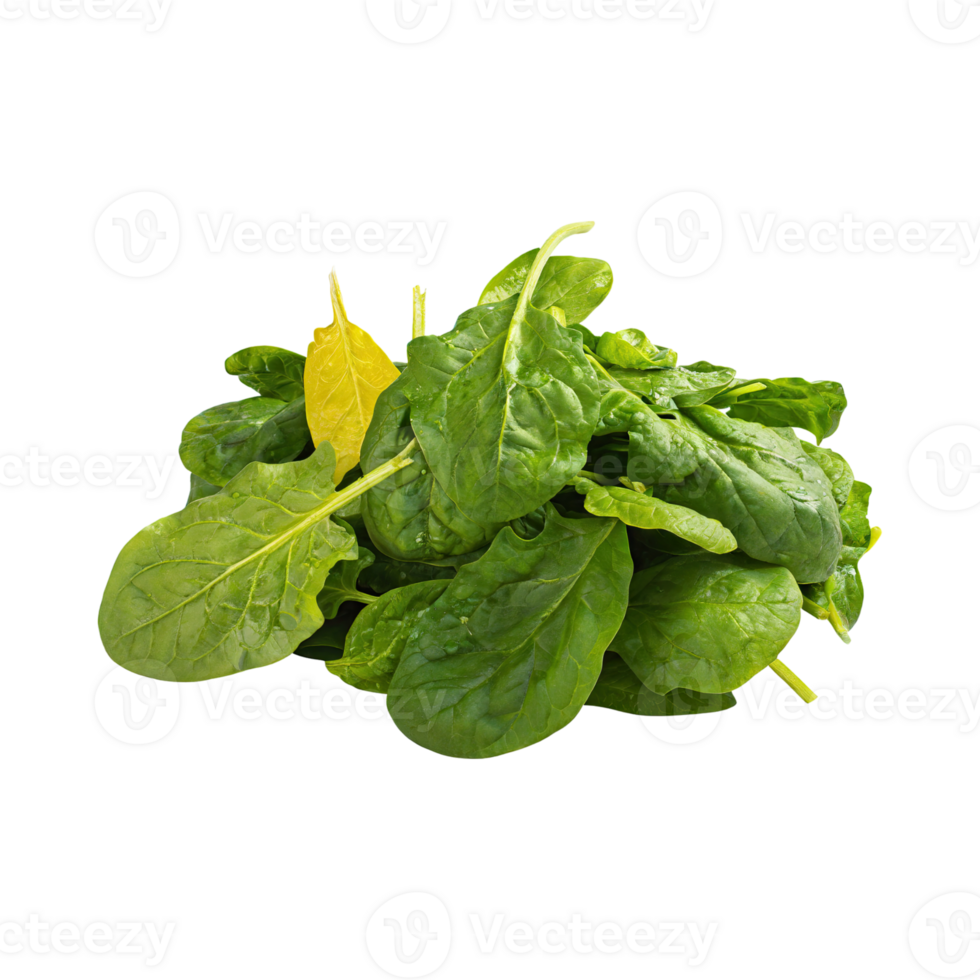 AI generated Green And Yellow Spinach With A Leafy Texture, Without Shadow, Isolated Transparent Background png