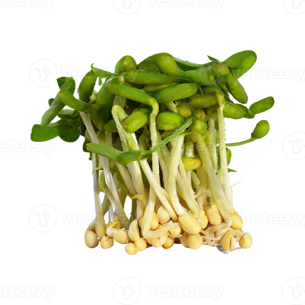 AI generated Floating Bunches Of Bean Sprouts, Without Shadow, Isolated Transparent Background png