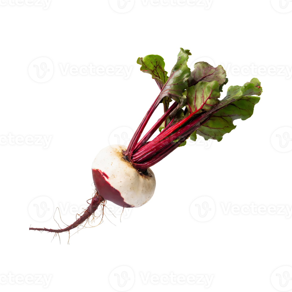 AI generated Floating Of Red And White Beetroot With A Earthy Taste With Sliced, Isolated Transparent Background png
