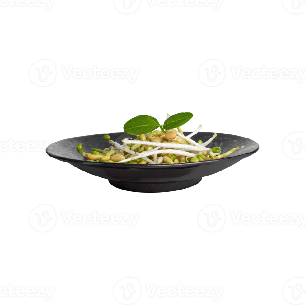 AI generated Floating Of Indonesian Bean Sprouts, Without Plate, Without Shadow, Isolated Transparent Background png
