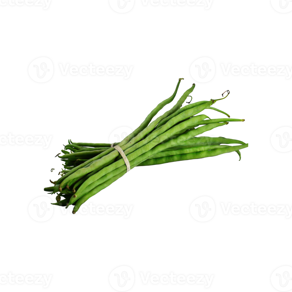AI generated Bunches Of Fresh Long Beans, Without Shadow, Isolated Transparent Background png