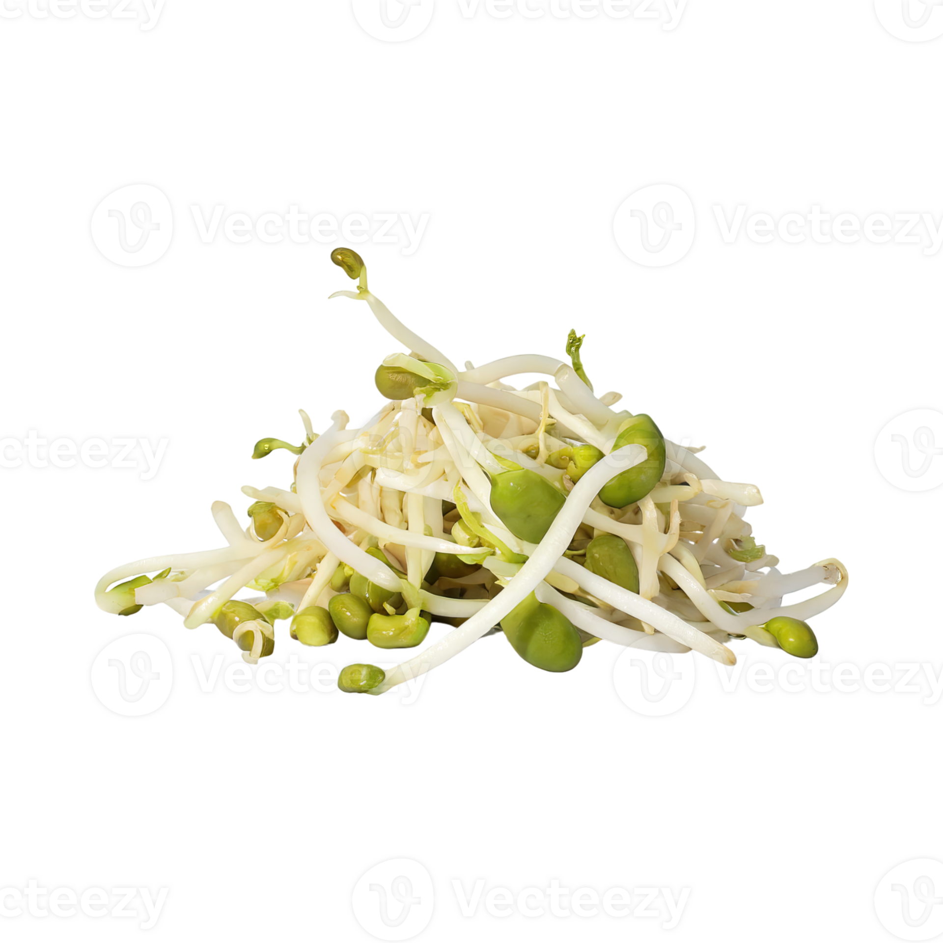 AI generated Indonesian Bean Sprouts, Without Shadow, Isolated