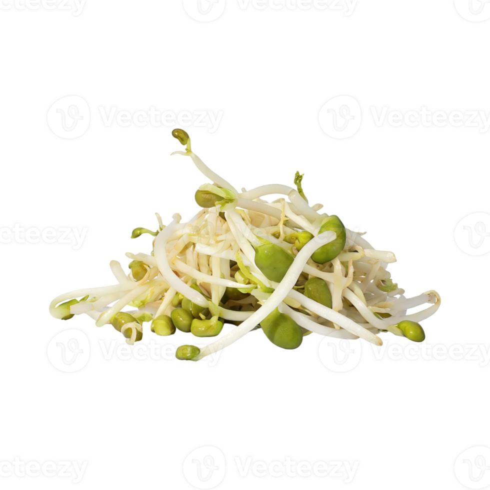AI generated Indonesian Bean Sprouts, Without Shadow, Isolated Transparent Background png