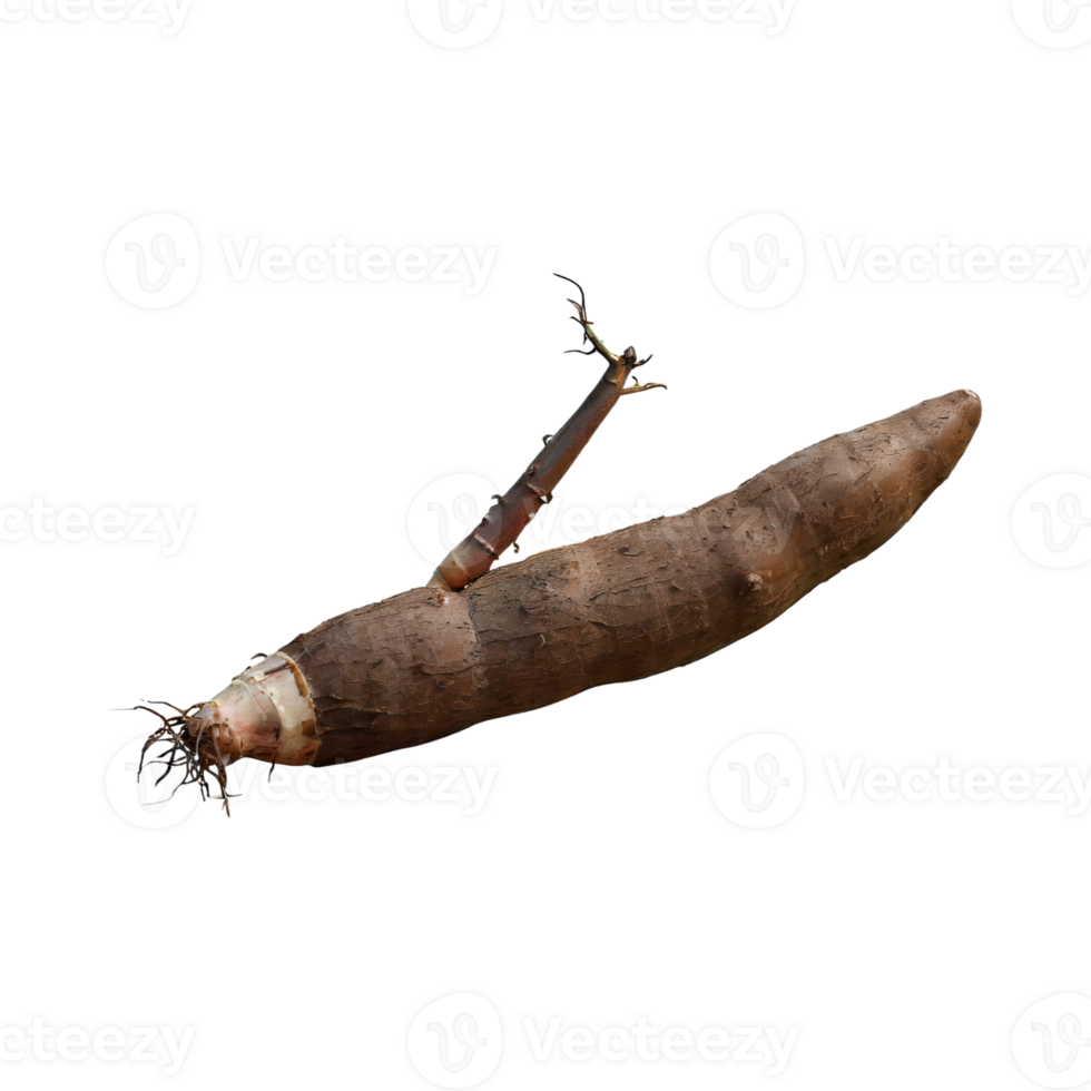 AI generated Floating Of Brown Cassava With Sliced Of Cassava,Earthy, Root ,Isolated Transparent Background png