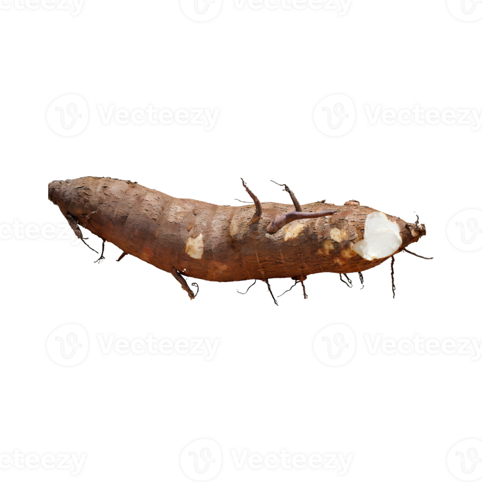 AI generated Floating Of Brown Cassava With Sliced Of Cassava,Earthy, Root ,Isolated Transparent Background png
