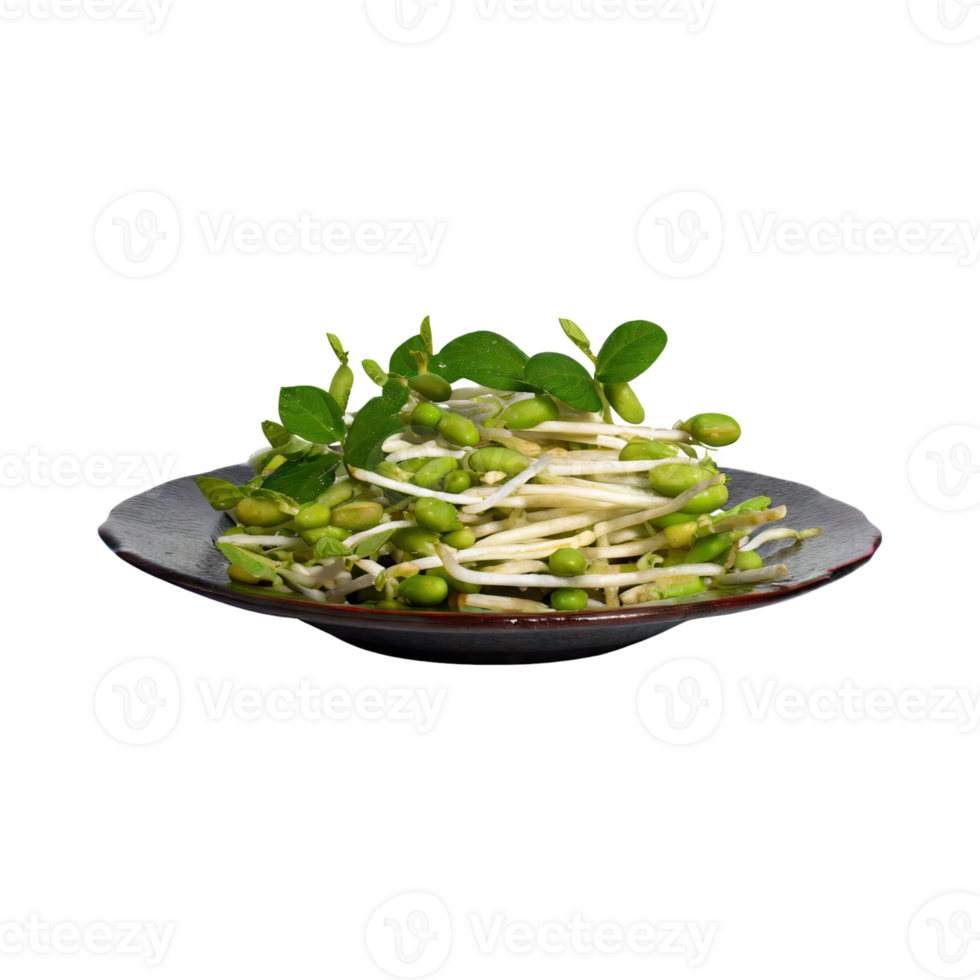 AI generated Floating Bunches Of Bean Sprouts, Without Shadow, Isolated Transparent Background png