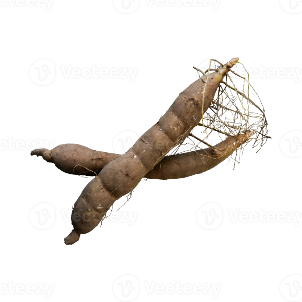AI generated Floating Of Brown Cassava With Sliced Of Cassava,Earthy, Root ,Isolated Transparent Background png