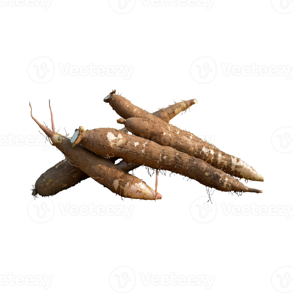 AI generated Floating Of Brown Cassava With Sliced Of Cassava,Earthy, Root ,Isolated Transparent Background png