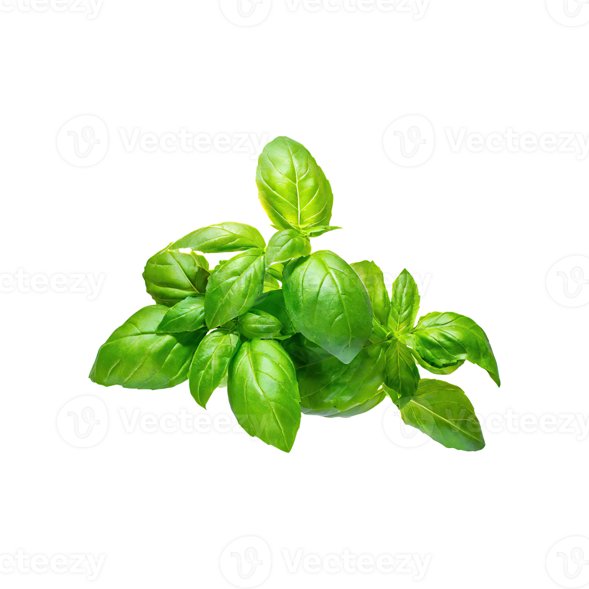 AI generated Floating Bunch Of Fresh Green Basil Leaves, Isolated