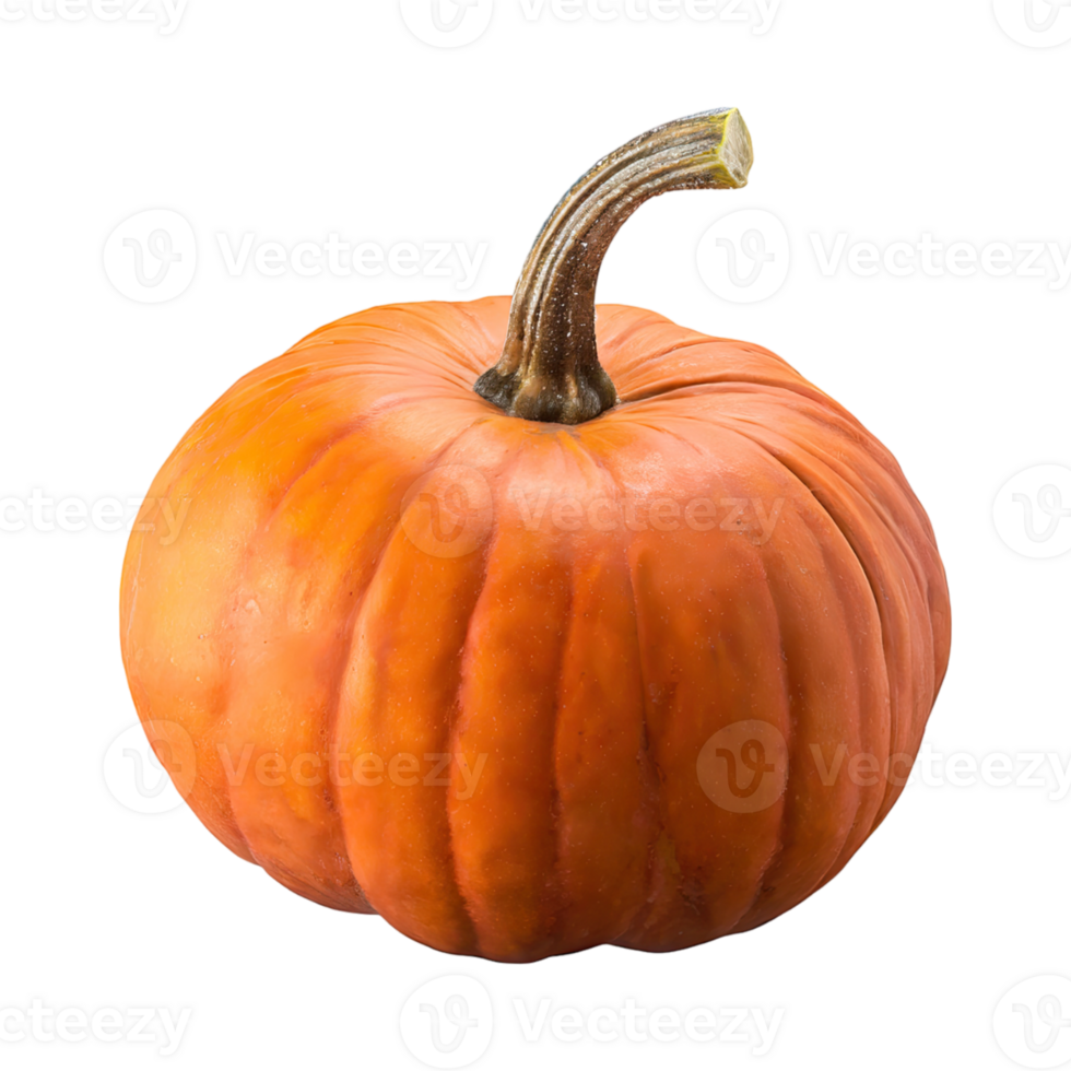 AI generated Floating Of Orange And Brown Pumpkin With A Round Shape With Sliced, Isolated Transparent Background png