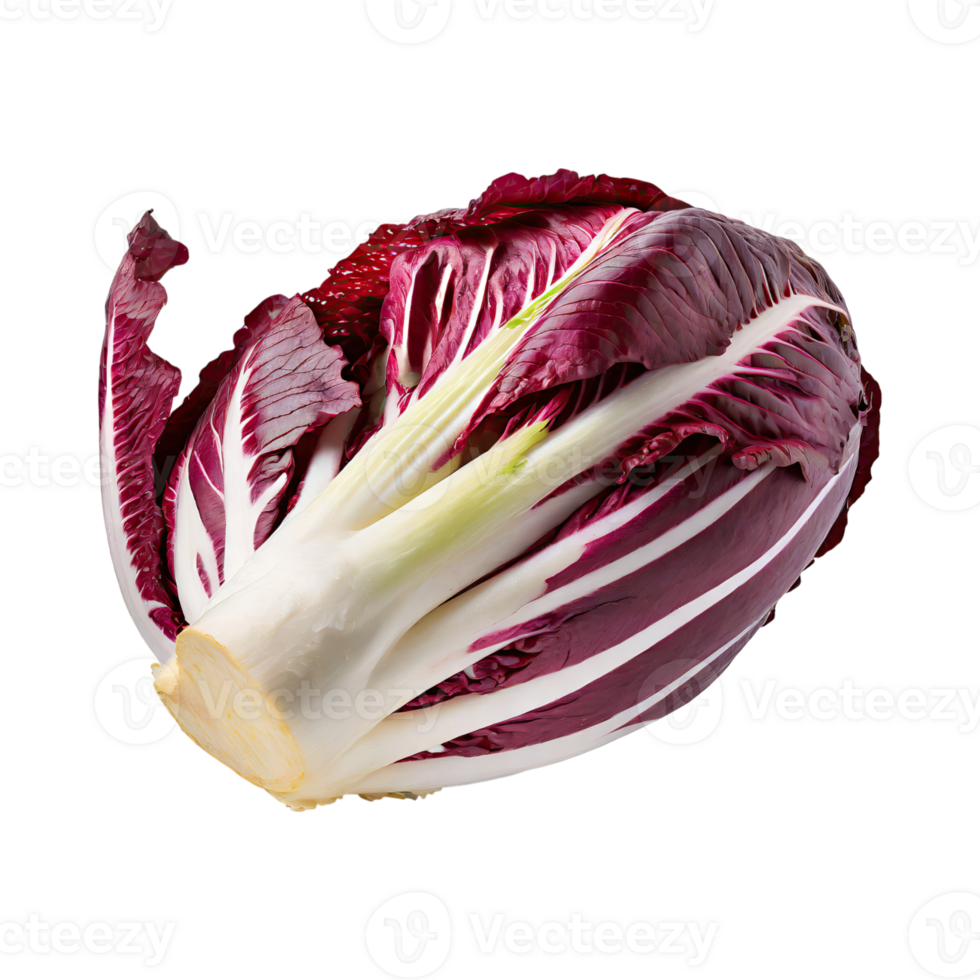 AI generated Radicchio With A Bitter Taste, Isolated Transparent Background png