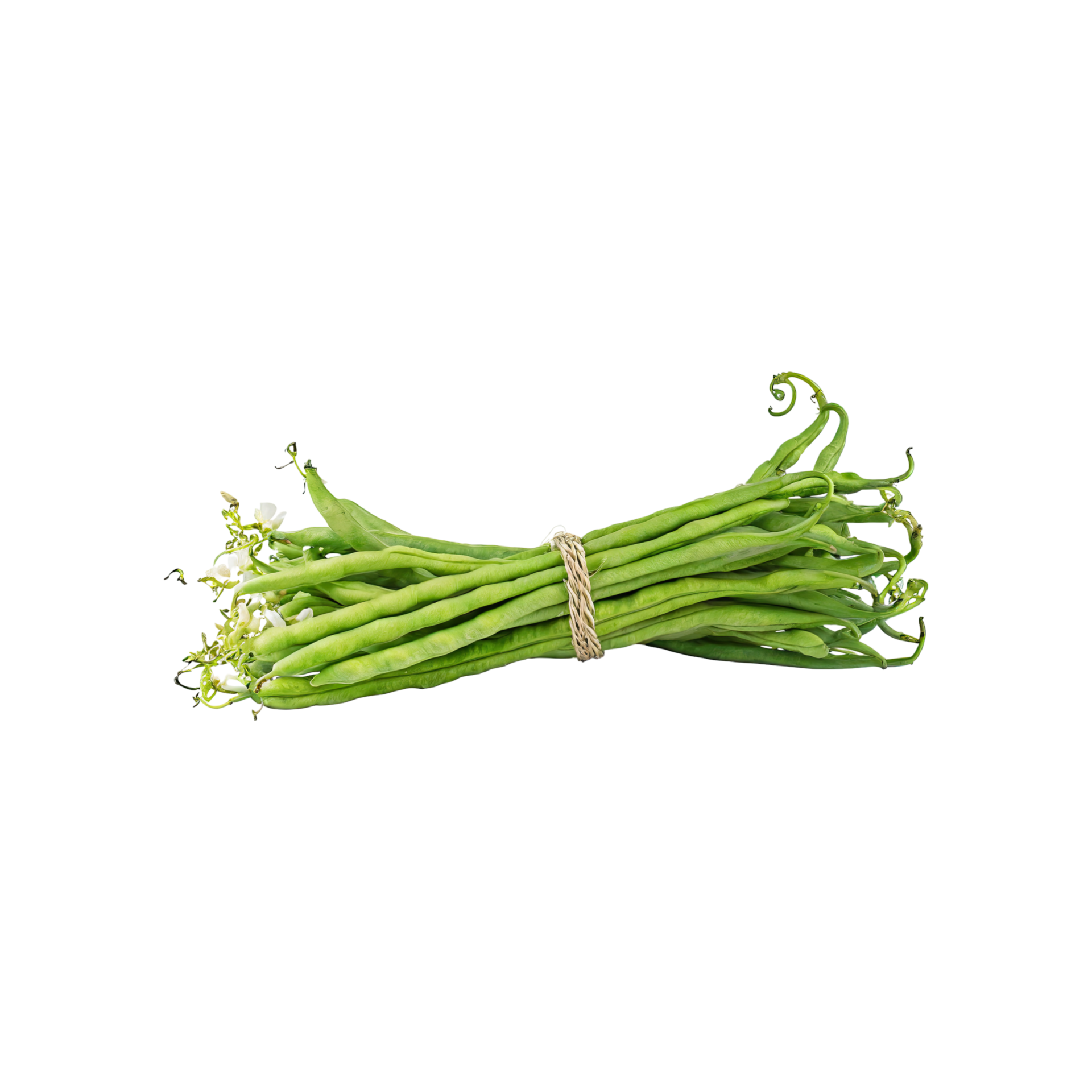 AI generated Bunches Of Fresh Long Beans, Without Shadow, Isolated