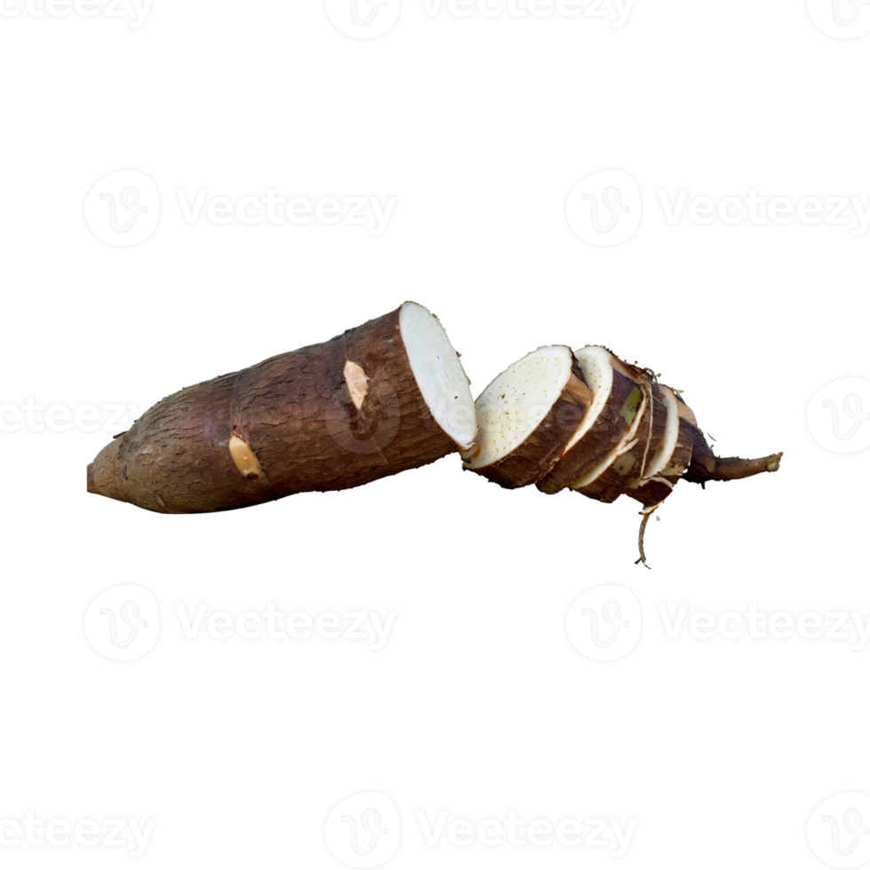 AI generated Floating Of Brown Cassava With Sliced Of Cassava,Earthy, Root ,Isolated Transparent Background png