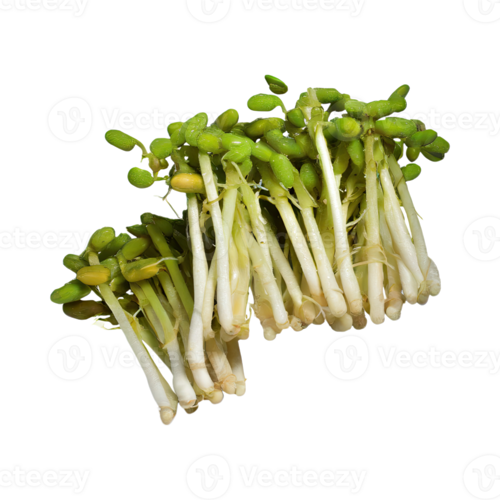 AI generated Floating Bunches Of Bean Sprouts, Without Shadow, Isolated Transparent Background png