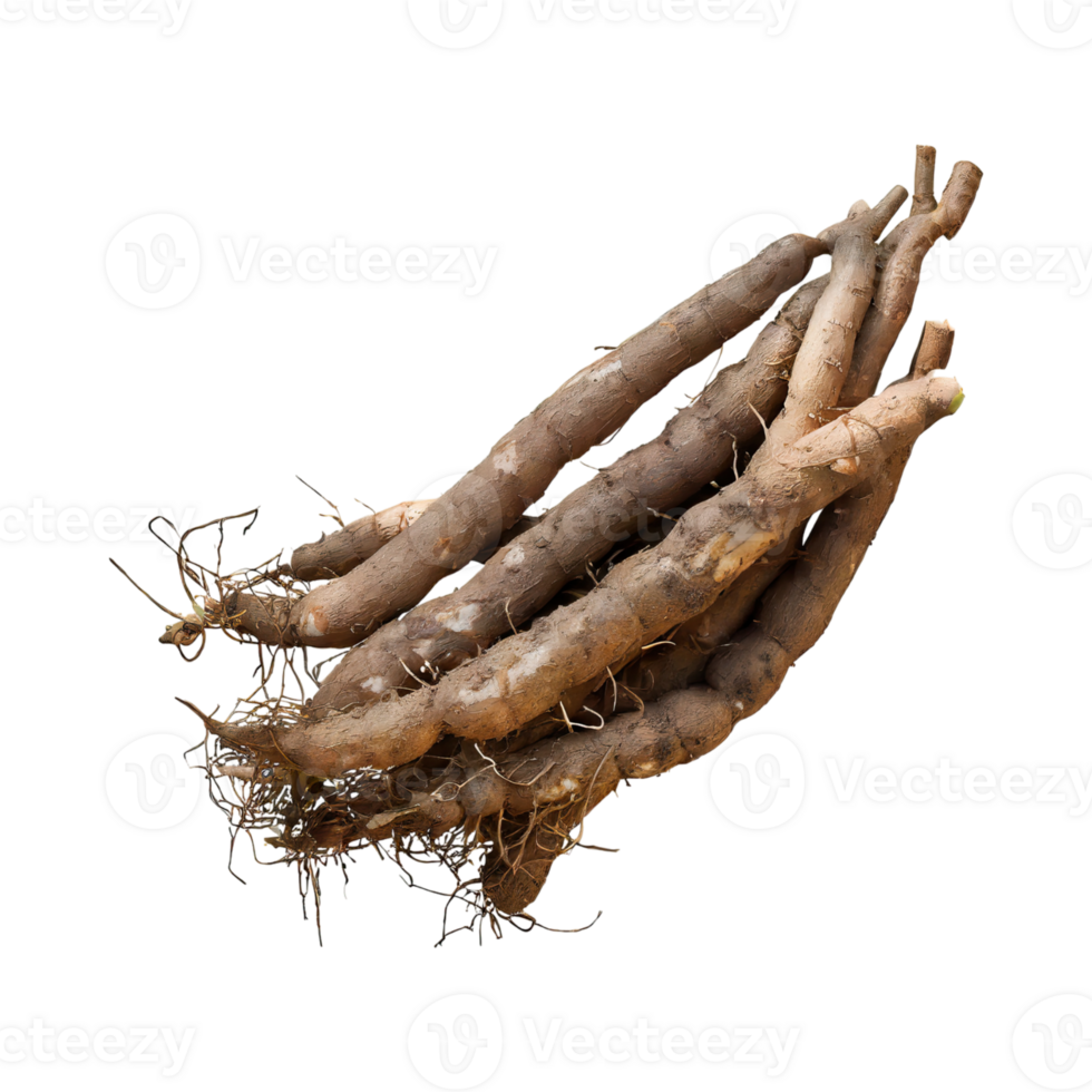 AI generated Floating Of Brown Cassava With Sliced Of Cassava,Earthy, Root ,Isolated Transparent Background png