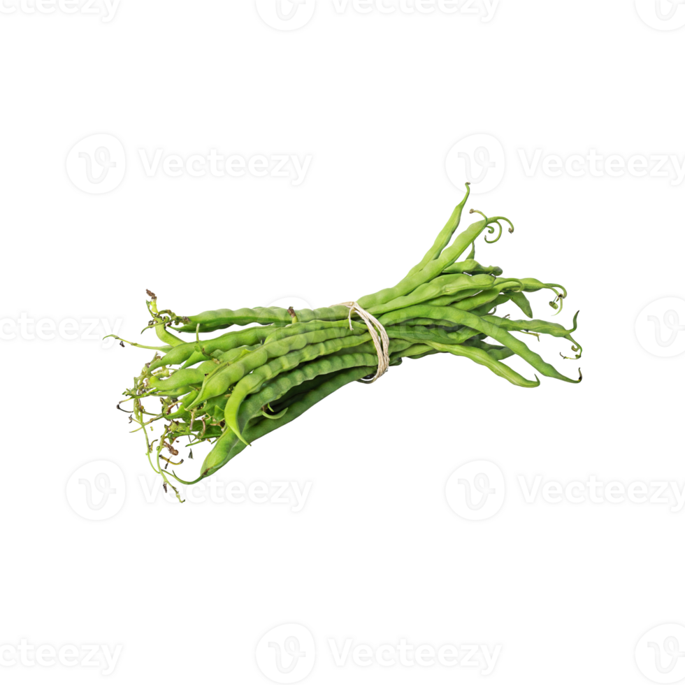 AI generated Bunches Of Fresh Long Beans, Without Shadow, Isolated Transparent Background png