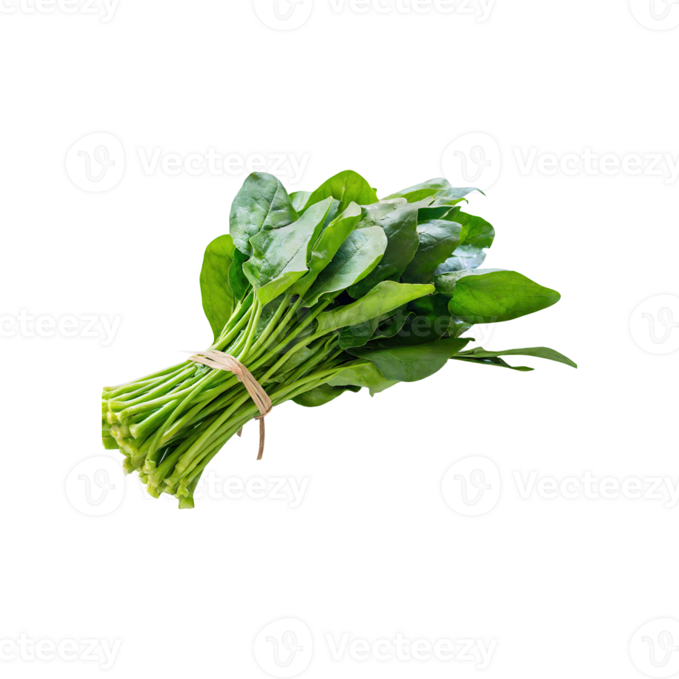 AI generated Floating Bunch Of Fresh Green Basil Leaves, Isolated Transparent Background png