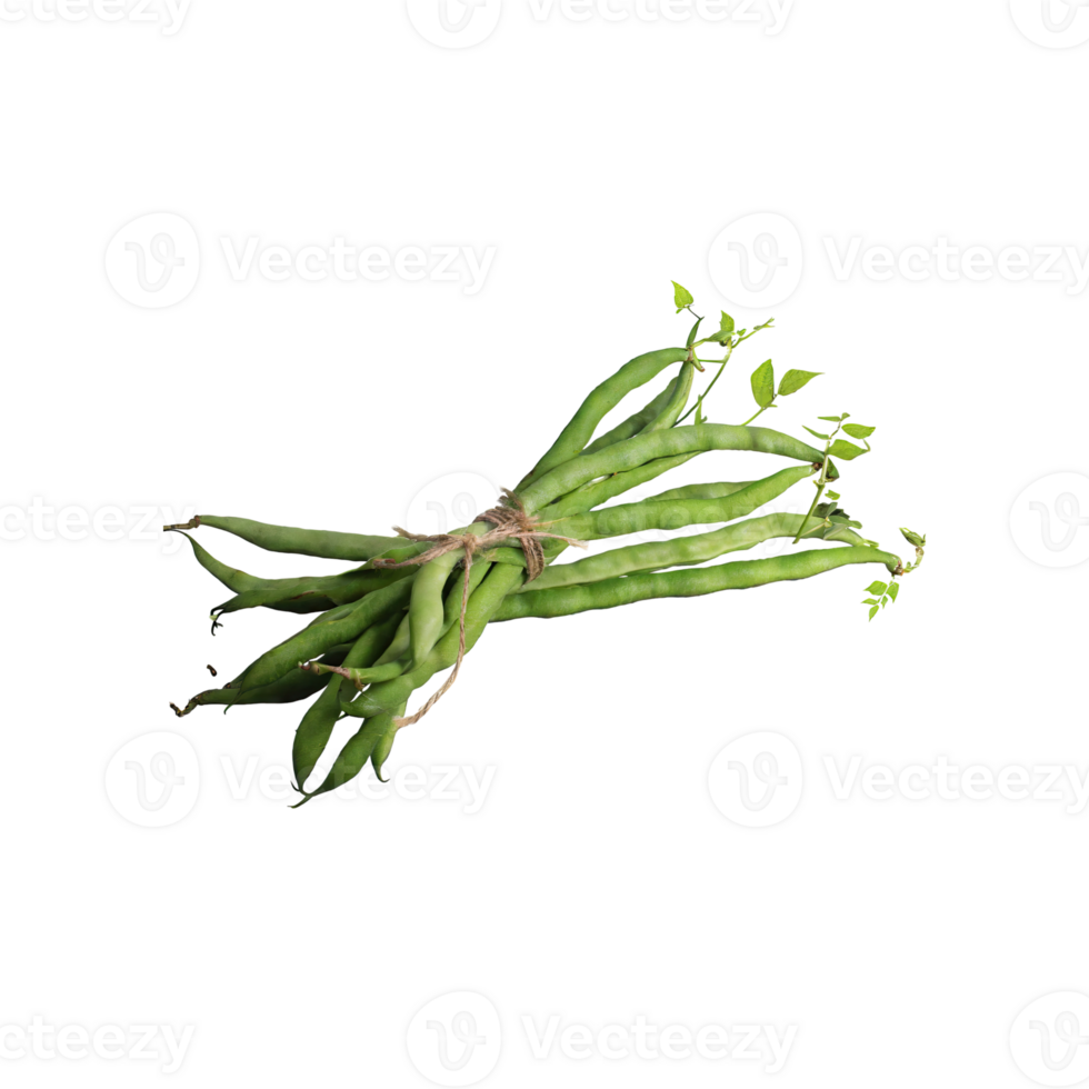 AI generated Bunches Of Fresh Long Beans, Without Shadow, Isolated Transparent Background png