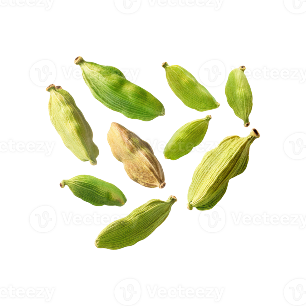AI generated Floating Of Green Cardamom, Isolated Transparent Background png
